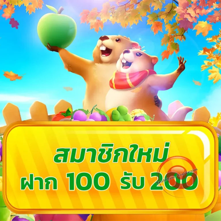 toys289 login